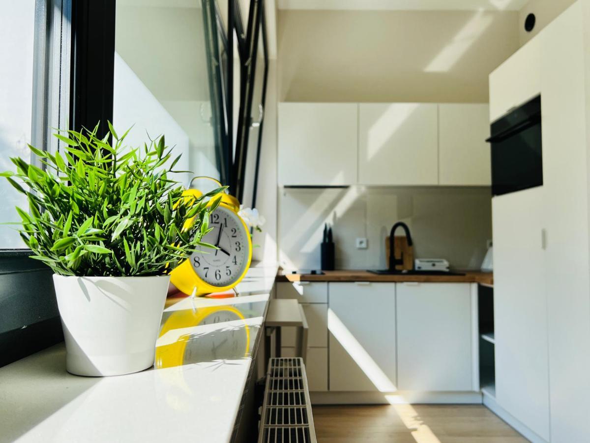 Cozystudio With Sauna Krakow Dış mekan fotoğraf